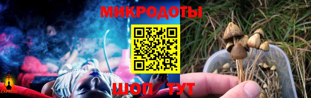 Галлюциногенные грибы Magic Shrooms  Псилоцибиновые грибы MAGIC MUSHROOMS  Вход с VPN  Кузнецк 